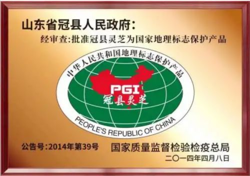 靈芝孢子粉品牌深度解析 權威測評與選購指南，聚焦榜首品牌的雙重優勢